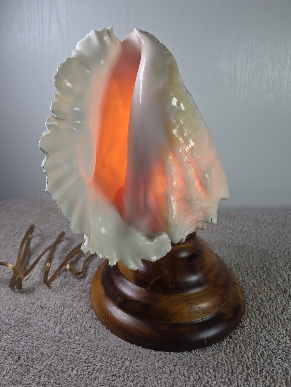 Vintage Conch Shell Table Lamp — White and Peach Glow Shell Accent Light